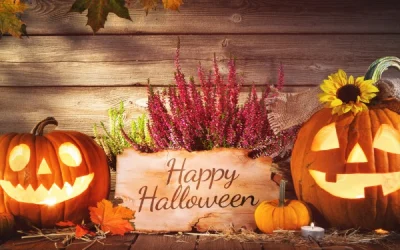 Newsletter : Happy Halloween